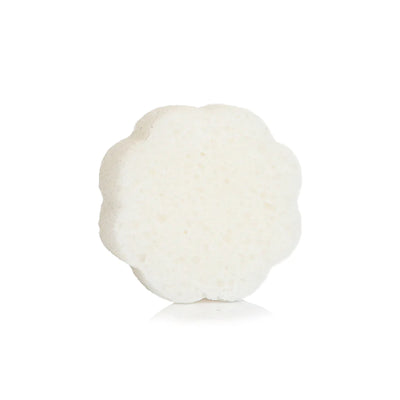 Daisy Spongette | Freesia Pear