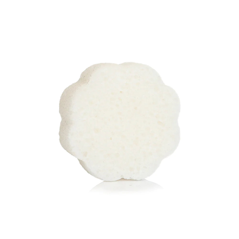 Daisy Spongette | Coconut Verbena